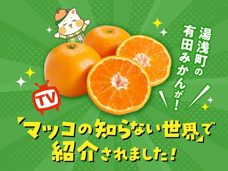 MK1043_みかん Ｌサイズ 秀品 箱込 7.5kg ( 内容量 6.8kg ) 有田み