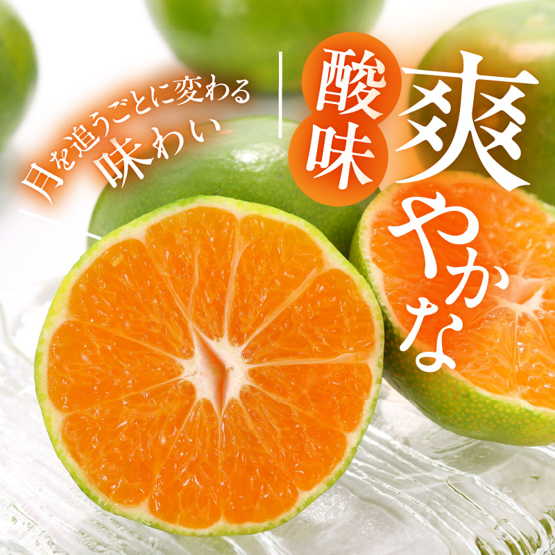 MK1080_【2026年先行予約】みかん 極早生 山から直送 箱込 5kg (