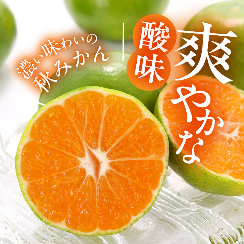 MK1057_【2026先行予約】ゆら早生 みかん 箱込 2.5kg ( 内容量 2.3