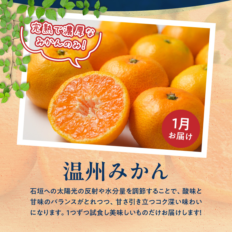 G60-T98_【発送月固定定期便】紀州和歌山産旬のご家庭用柑橘