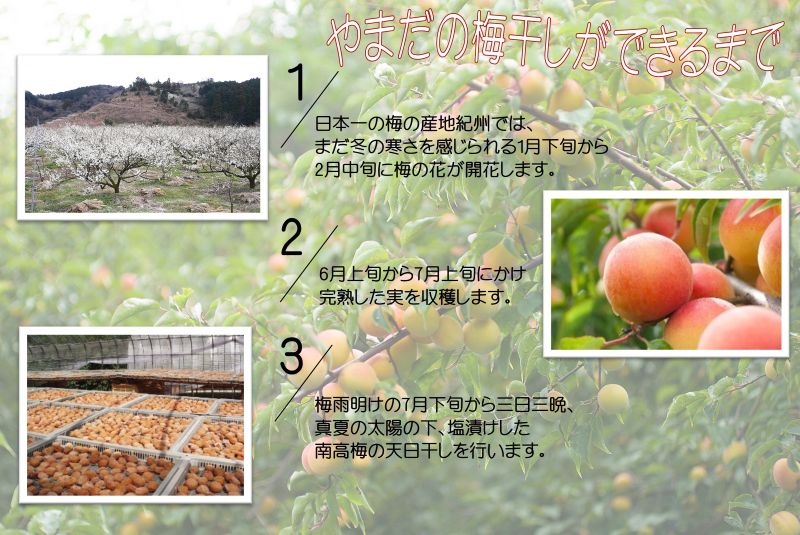 YD1010_紀州南高梅しそプレミアム塩分約6％（850ｇ）