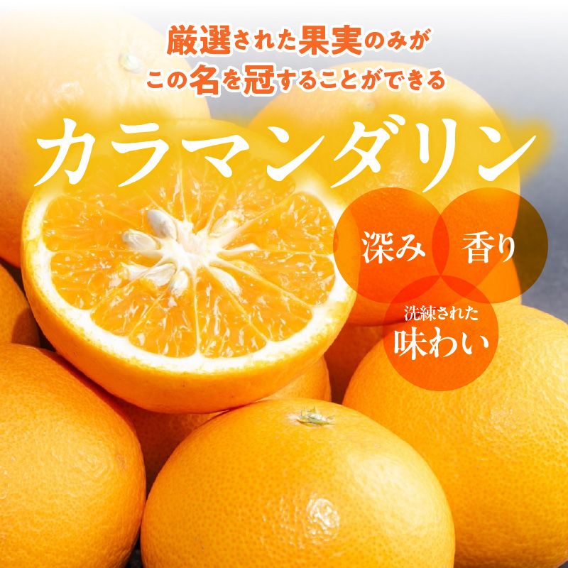 ZE6501_【2026年先行予約】和歌山県産　カラマンダリン　5kg　