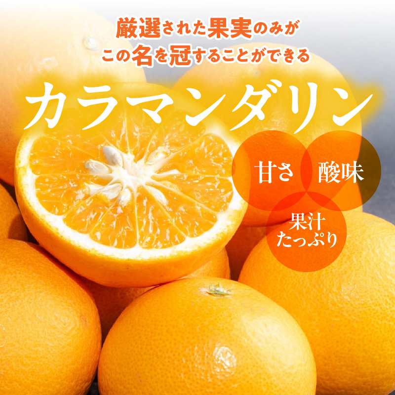 ZE6502_【2026年先行予約】和歌山県産　カラマンダリン　3kg　
