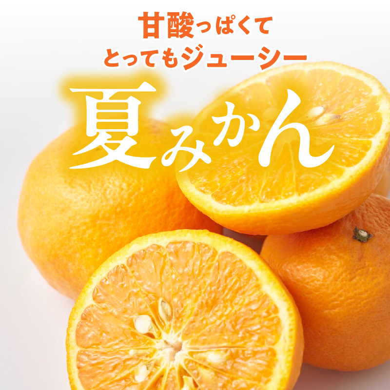 ZE6505_【2026年先行予約】和歌山県産　夏みかん　5kg　秀品