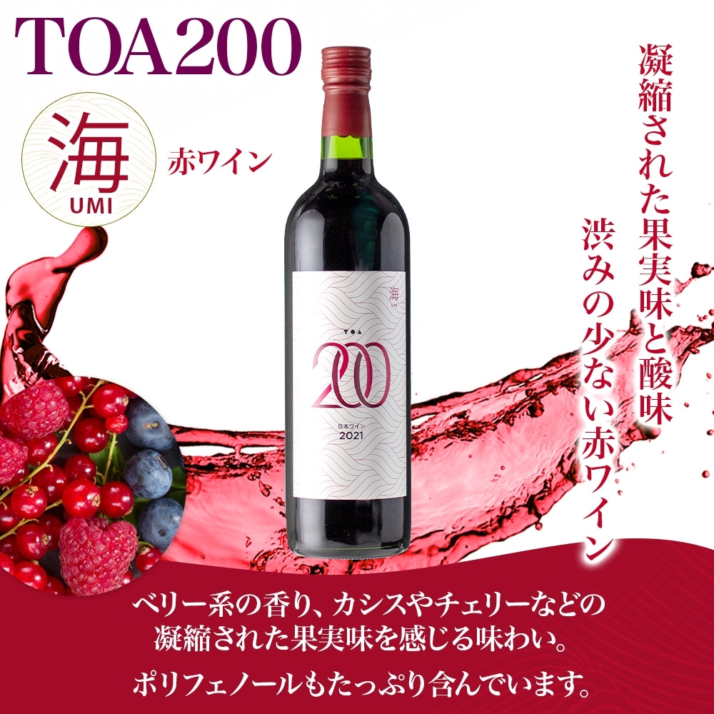 KG1011_赤ワイン TOA200 海 12度 720ml 果実酒 葡萄酒 ぶどう フル