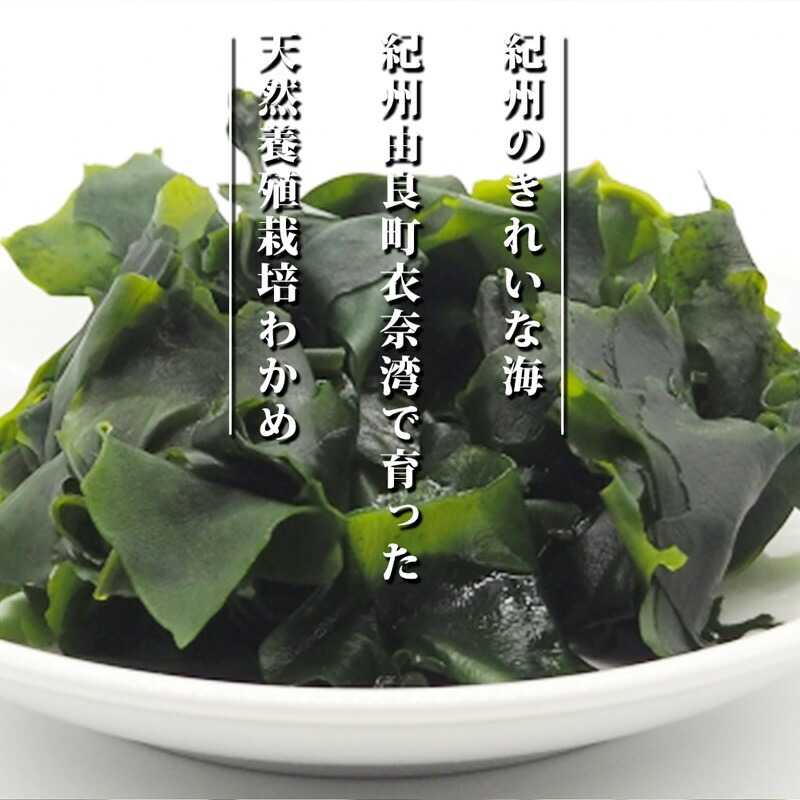BB6220_紀州衣奈産乾燥わかめ　150g×8パック(2026年産)