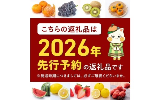 ZE6518_【2026年先行予約】【秀品】和歌山県産 有田みかん 約7