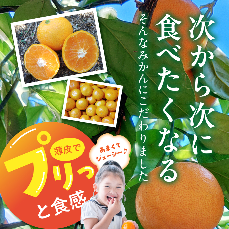 BK6017_【2026年先行予約】庄助みかん (家庭用・サイズ混合) 