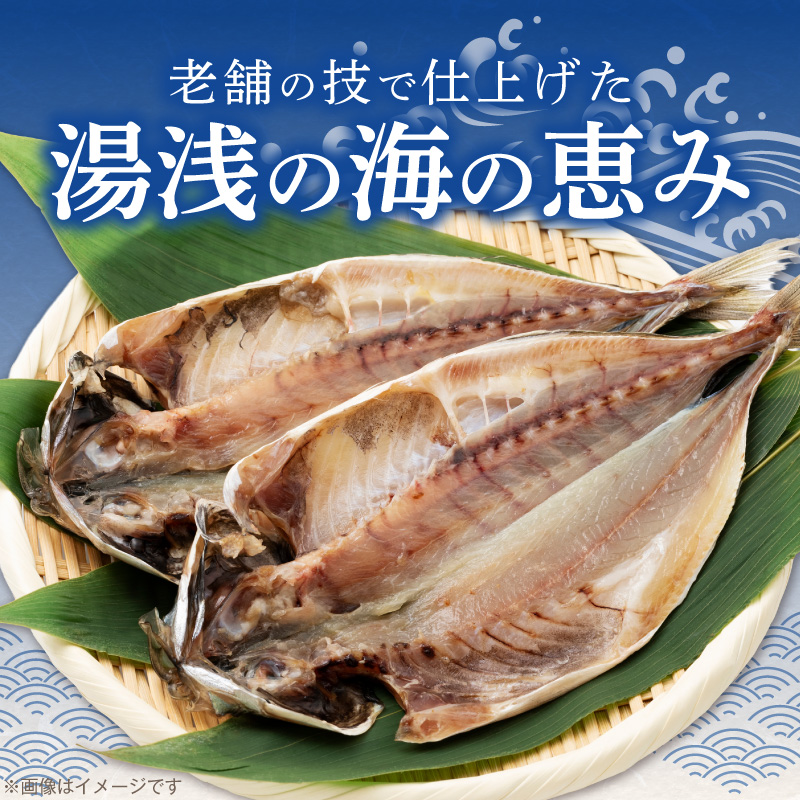 AD6102_かね七商店　湯浅の干物大満足セット　小あじ・かま