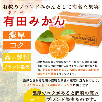 V7432_ブランド有田みかん【Ｌ】秀品10kg／産地直送／薄皮で