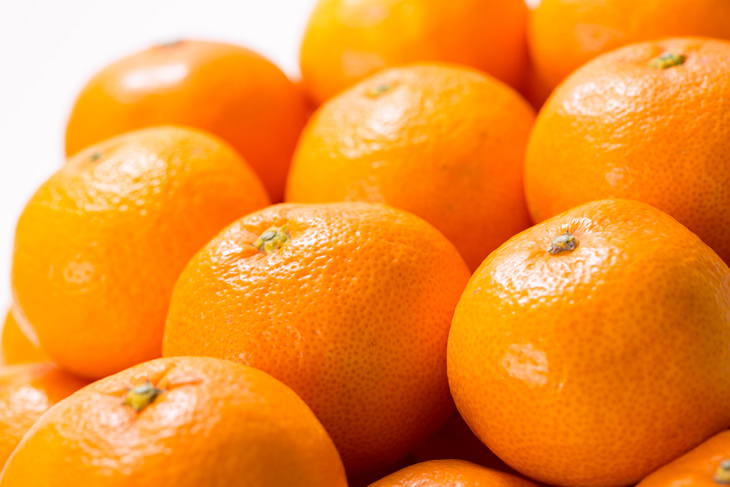 V7450_田村みかん／5kg青秀／サイズ指定なし