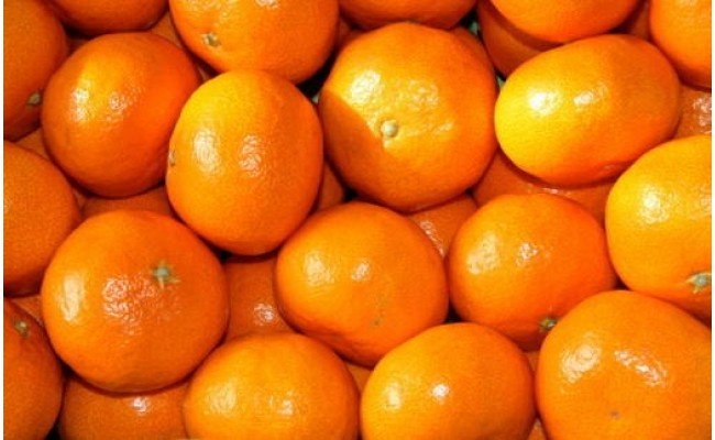 ZD7015_【2026年先行予約】【秀品】 和歌山 有田みかん 6kg（2L