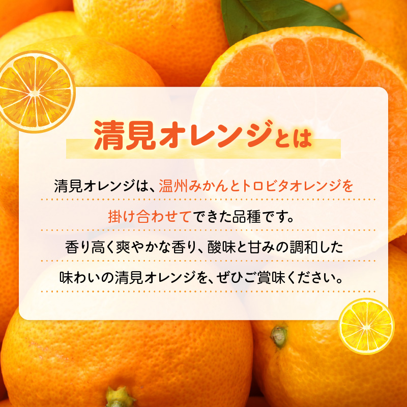 ZN6001n_【2026年先行予約】和歌山県有田産 完熟 清見オレンジ