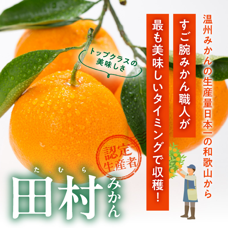 V7454_【2026年先行予約】田村みかん／特選ギフト品3kg【サイ