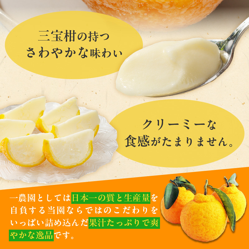 ZP6009n_まるごと三宝柑シャーベット 5個 セット