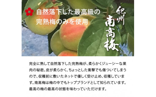 V7017_しそかつお梅干し500g 紀州南高梅うめぼし和歌山産(化