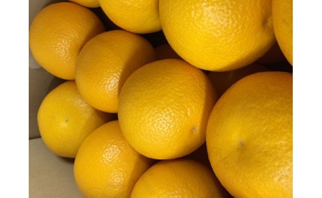 ZE6073n_【2026年先行予約】有田の八朔 (はっさく) 10kg（Sサイ