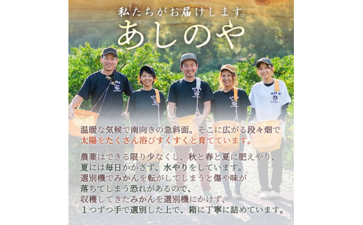 ZE6151n_【2026年先行予約】有田の八朔 (はっさく) 10kg (S～Mサ