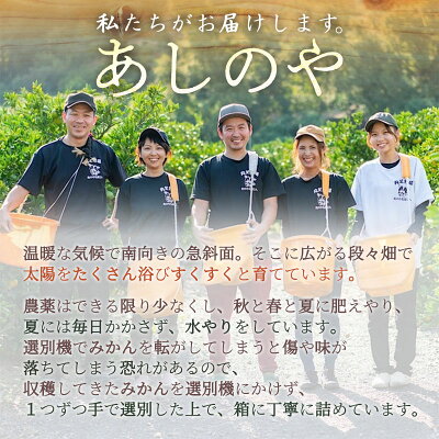 ZE6167n_【2026年先行予約】有田の八朔 (はっさく)【訳あり　