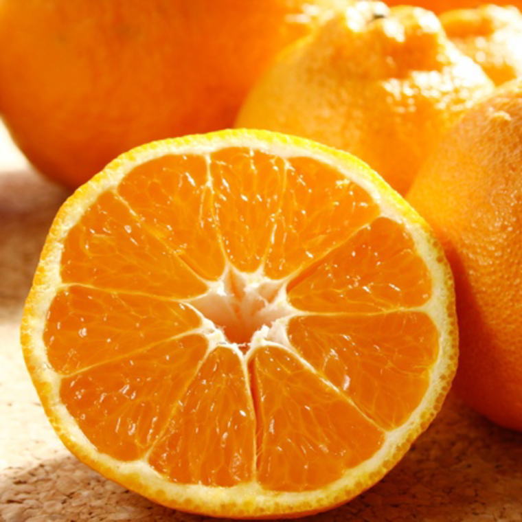 ZD6117n_【2026年先行予約】【濃厚】有田の 不知火 約5kg（12玉