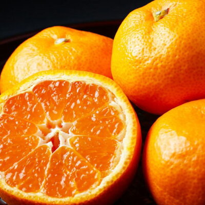 ZD6218n_【高糖系】【2026年先行予約】 貯蔵越冬 丹生系 みか