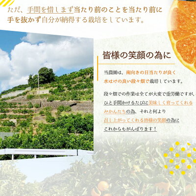 BF6003_【数量限定】【赤秀 特選品】 有田みかん L,2Lサイズ約