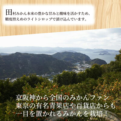 AY6004n_田村みかん 缶詰 8缶セット【フルーツ缶 フルーツ缶