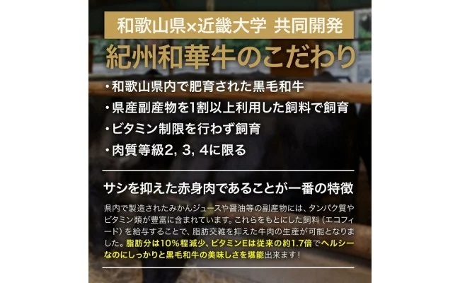 BN6110_【紀州和華牛】焼き肉懐石 300g