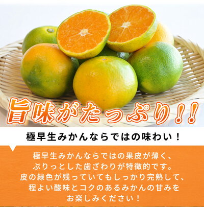 G7098_ 【2026年 先行予約】紀州和歌山有田産 ゆら早生みかん 