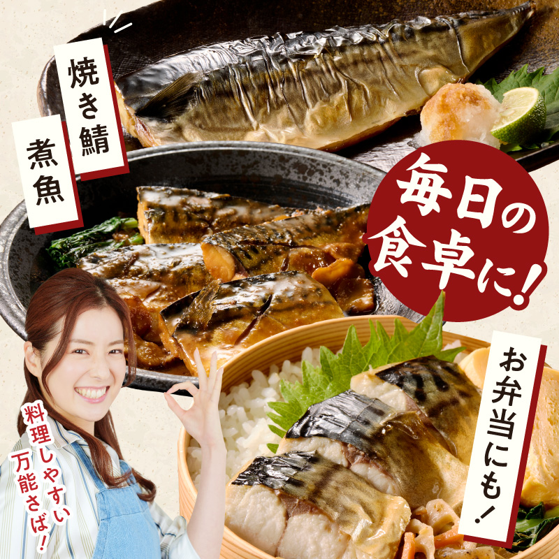 G7320_高評価 リピーター続出 塩サバフィレ 8枚 塩サバ 食べ