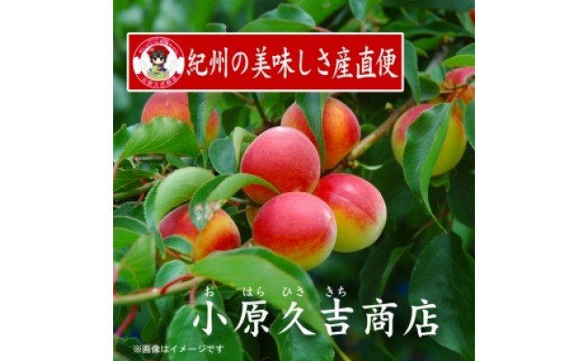 M6118n_紀州南高梅うすしお味 1kgとぽんず 1本