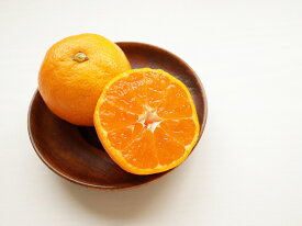 BF6054_ハウスみかん 6パック 【ミカン 蜜柑 柑橘 温州みかん 