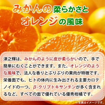 G7057_【2027年先行予約】和歌山産 津之輝 (つのかがやき) 5kg