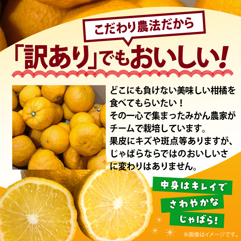 AB7033n_（国産）紀州和歌山の じゃばら 果実（訳あり ジャバ