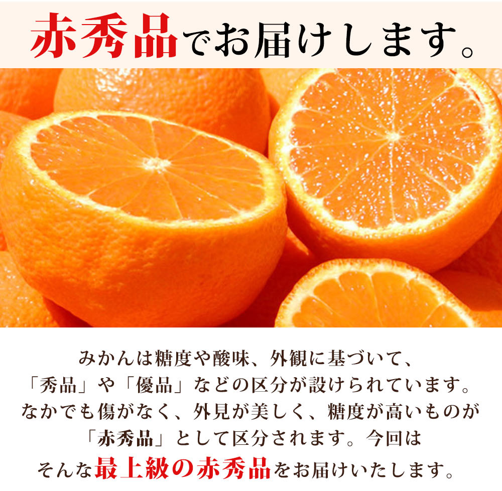 G7042_【2026年11月下旬より発送】紀州 有田産 濃厚甘熟 温州