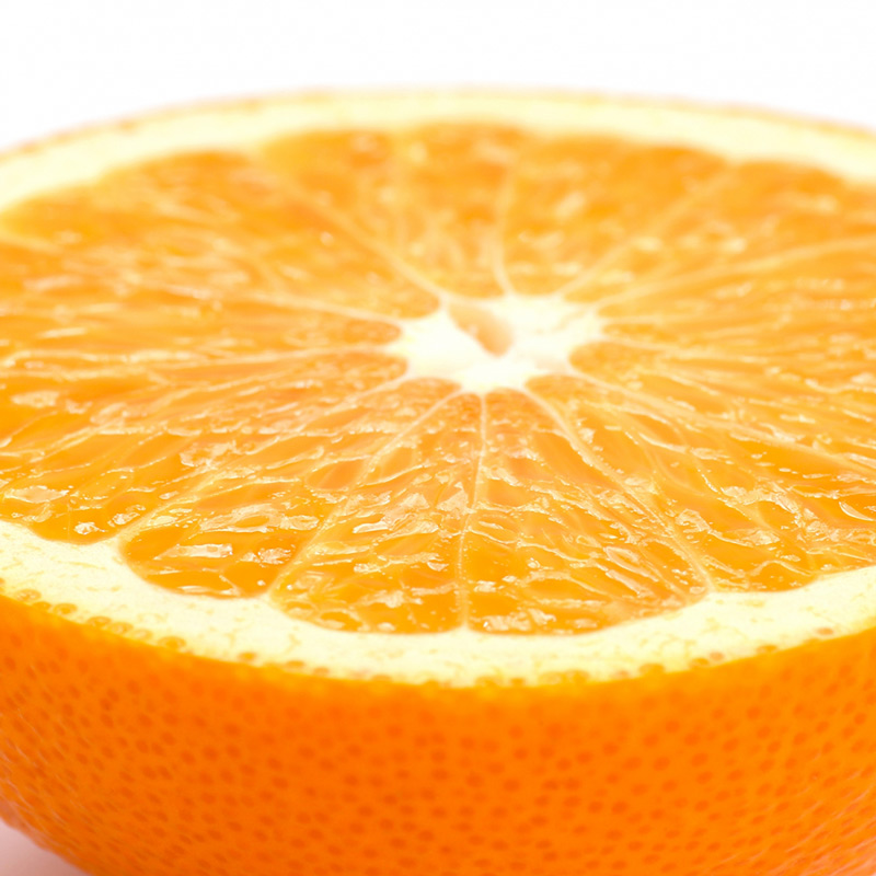 U6226n_【2026年先行予約】紅八朔 秀品 約10kg Lサイズ 和歌山県