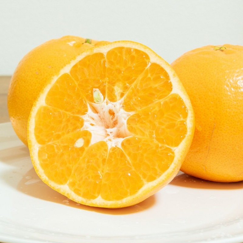 U6227n_【2026年先行予約】ポンカン 秀品 約10kg 和歌山県有田