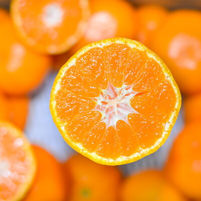 EA6029n_濃厚な味わいのこだわり 有田みかん 5kg (早生みかん