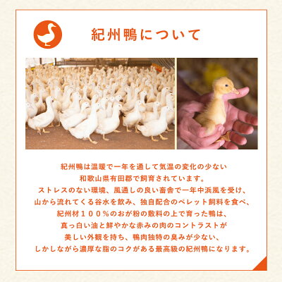 AK6006n_紀州鴨セット（ローススライス300g モモスライス300g 