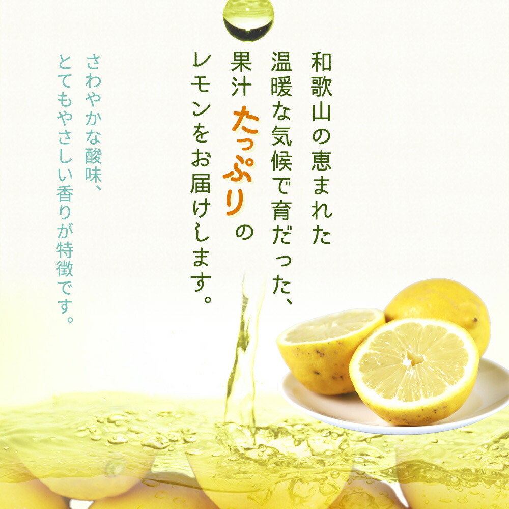 G7069_【2026年先行予約】【ご家庭用 訳あり】紀州有田産レモ