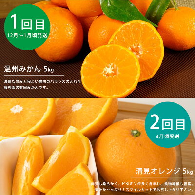 ZT6234n_ 【定期便 4回】こだわりの定期便 藤秀園 【ミカン 蜜