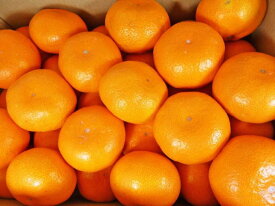 ZD6395_【2026年先行予約】【秀品】 和歌山 有田みかん 6kg（3L