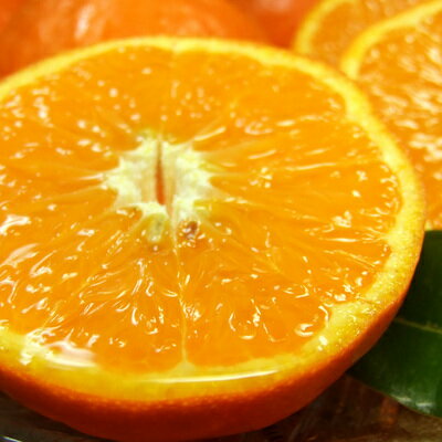 V7418_セミノール オレンジ 約2.8kg 和歌山県有田産 春みかん (