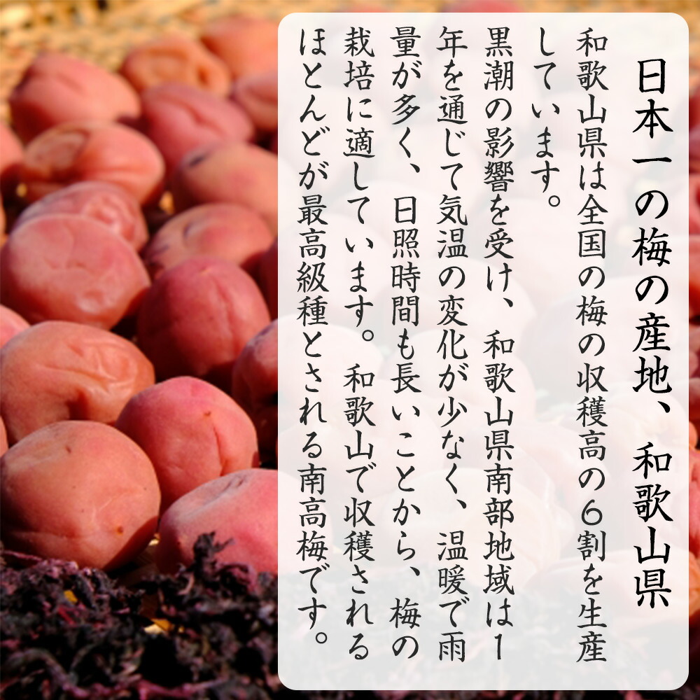 P6008_【紀州南高梅 使用】和歌山産「徳寿梅」350g　甘すぎず