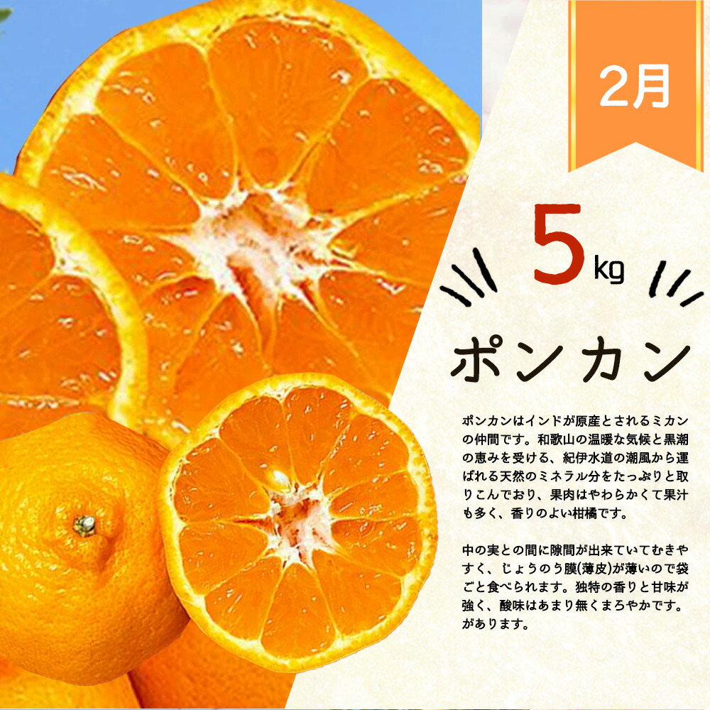 G60-T32_【定期便 全3回】紀州和歌山産旬の柑橘セット（みか