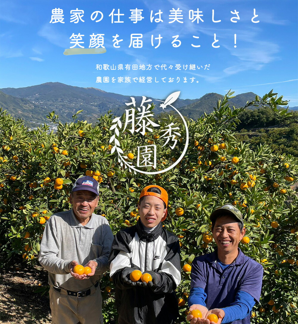 ZT6401_【2026年先行予約】清見オレンジ 秀優 3kg S～3Lサイズ