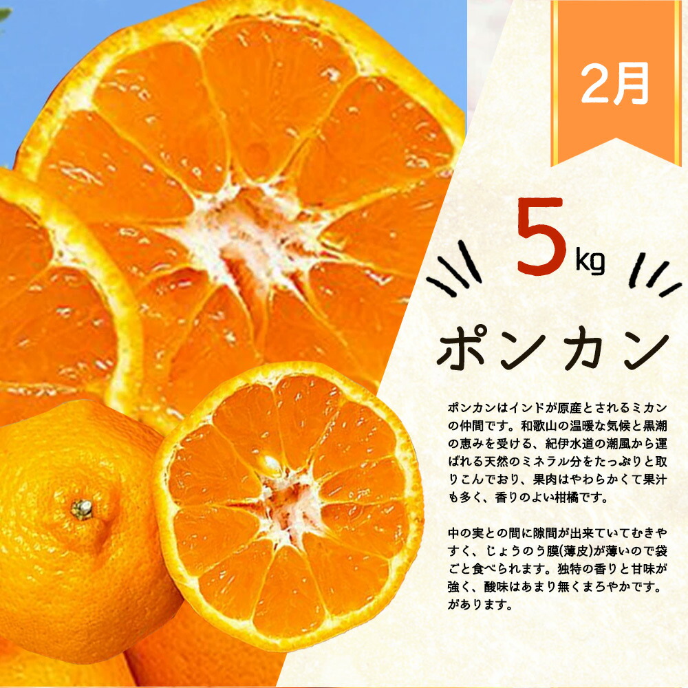 G60-T43_【定期便 全3回】紀州和歌山産 旬の柑橘セット（みか