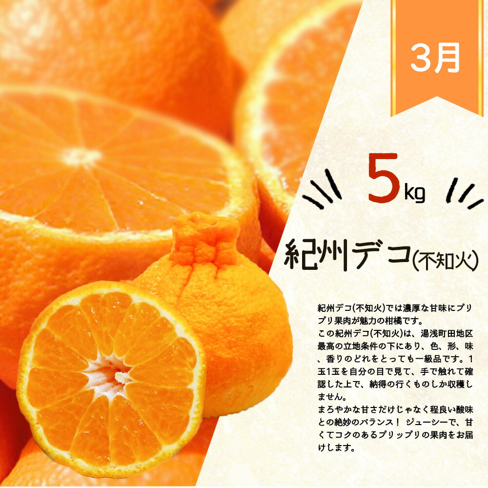 G60-T44_【定期便 全3回】紀州和歌山産旬の柑橘セット（みか