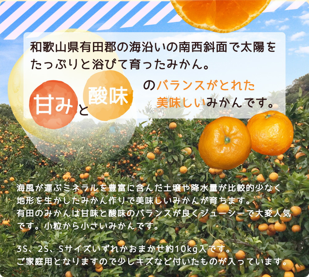 ZJ6093_【ご家庭用】有田みかん約10kg(3S、2S、Sサイズ)【湯浅