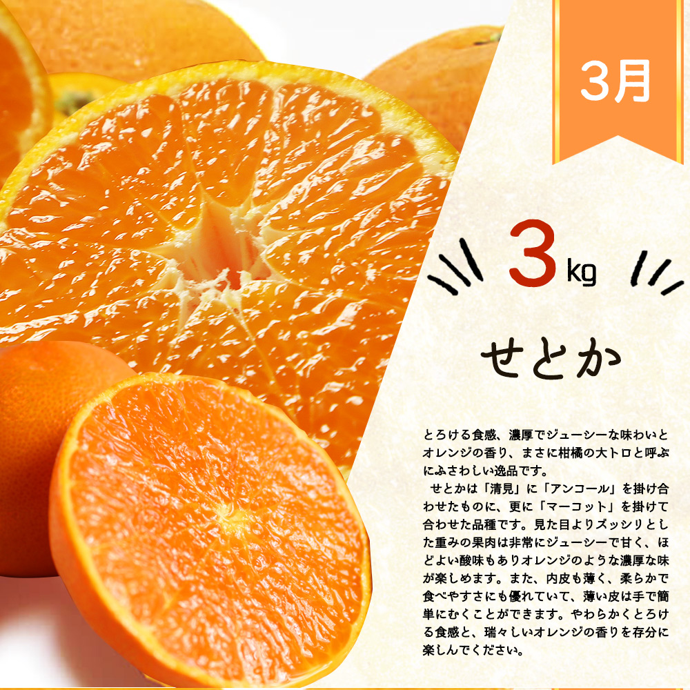 G60-T46_【定期便 全3回】紀州和歌山産旬の柑橘セット（不知